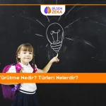 Akıl Yürütme Nedir? Türleri Nelerdir?