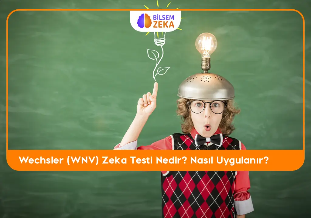 Wechsler (WNV) Zeka Testi nedir ?