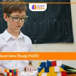 Türk Ulusal Zeka Ölçeği